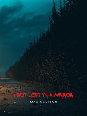 cover image of I Got Lost In a Mirror